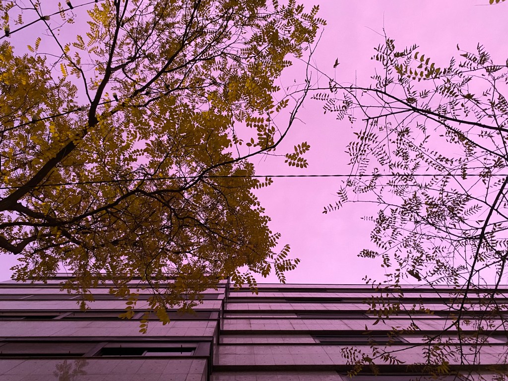 A Walk to&nbsp;Remember